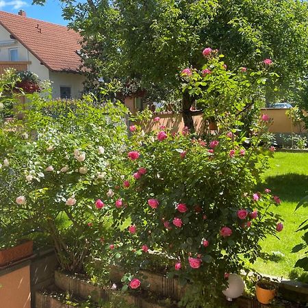 Ferienwohnung Am Eck Rust Exterior foto
