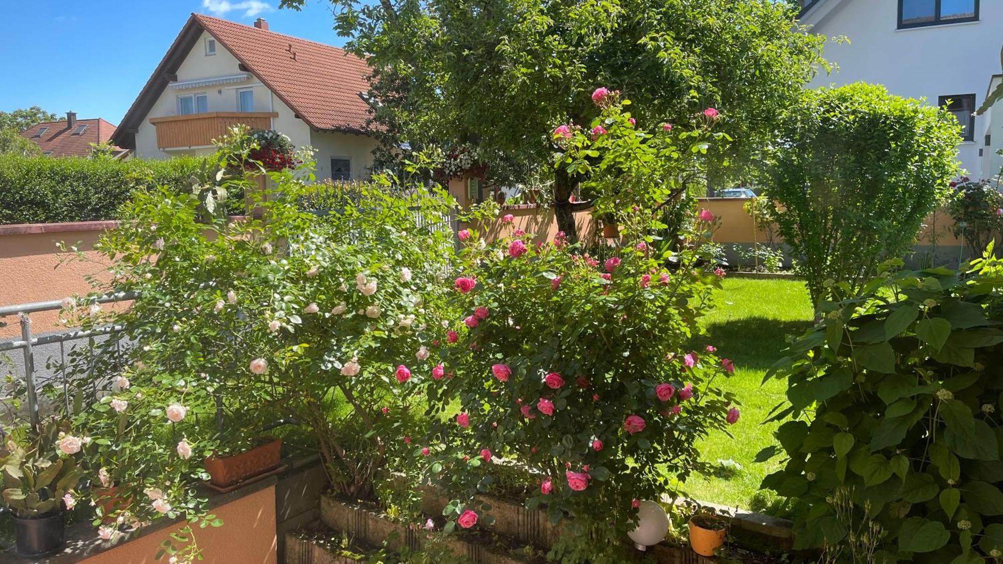 Ferienwohnung Am Eck Rust Exterior foto